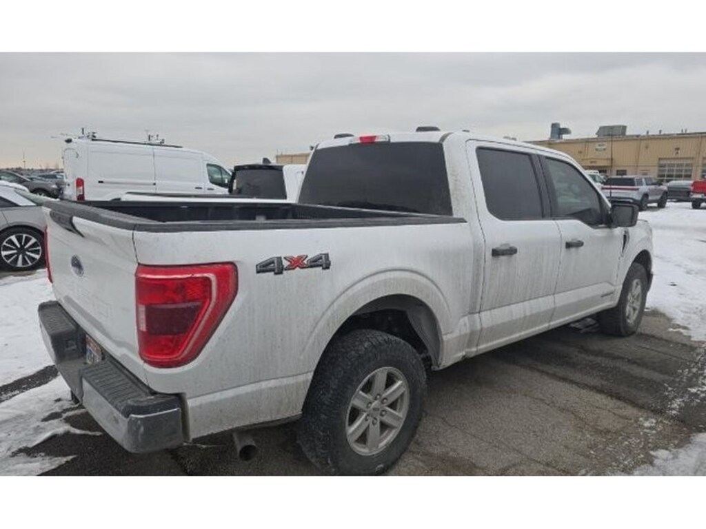 Used 2023 Ford F-150 XLT Crew Cab