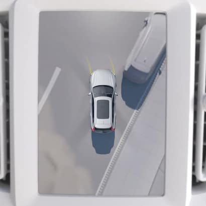 Does Tesla Model Y Have Birds Eye View: Ultimate Camera Insight