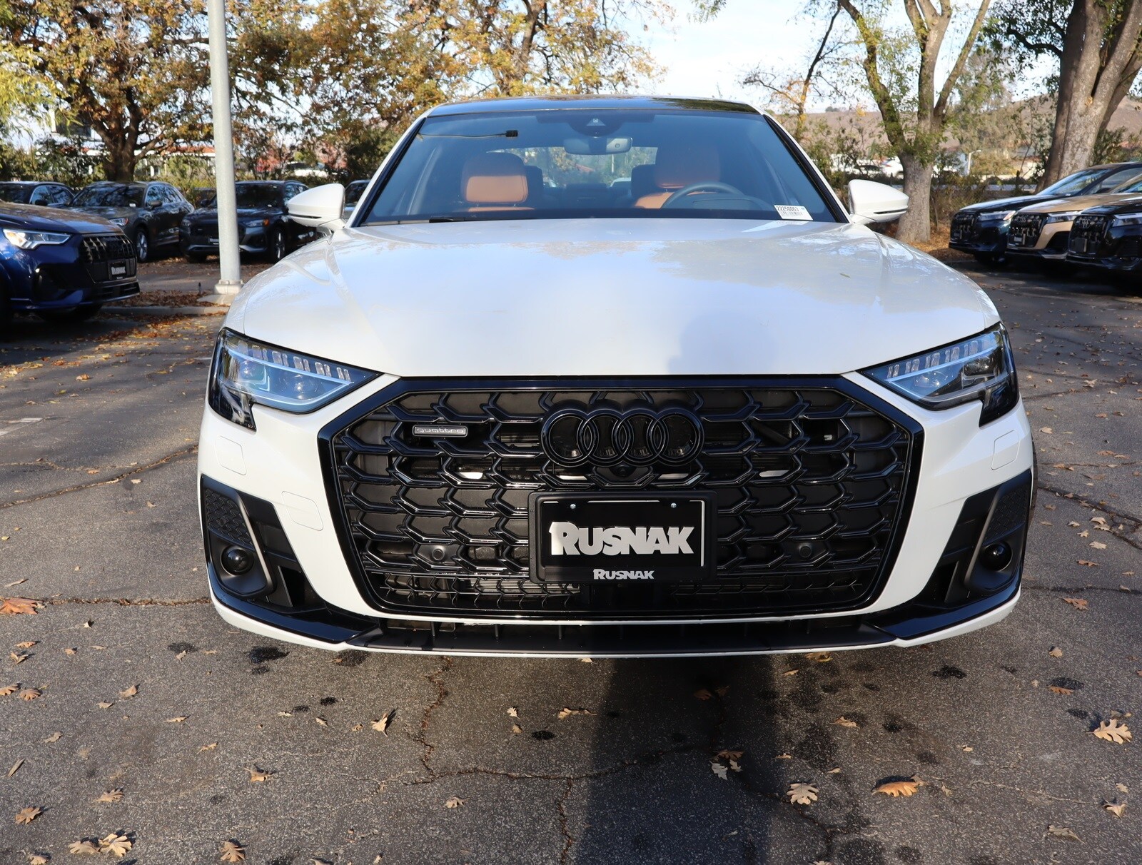 2025 Audi A8 L 55 photo 2