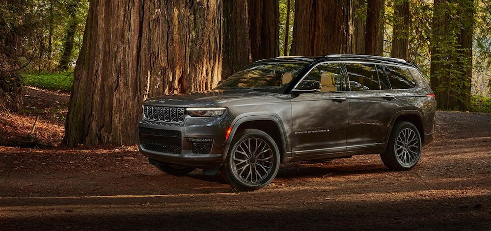 New Jeep Grand Cherokee in the Woods
