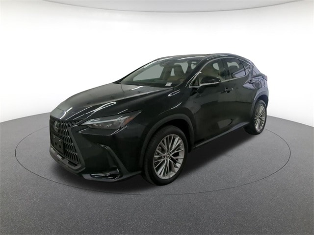 2023 Lexus NX Hybrid 350h's photo