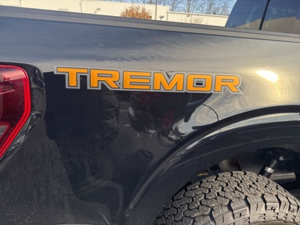 Used 2025 Ford F-150 Tremor Truck