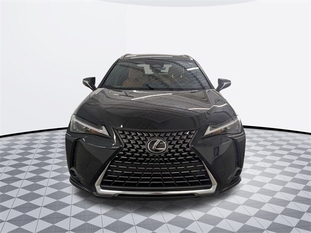 2025 Lexus UX photo 2