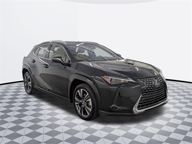 2025 Lexus UX photo 3