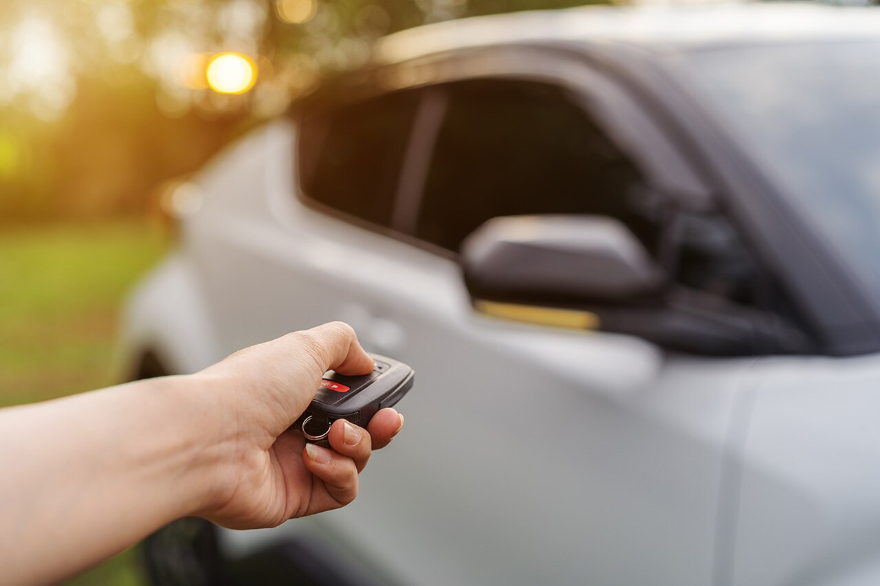 AdobeStock_221053376.jpg