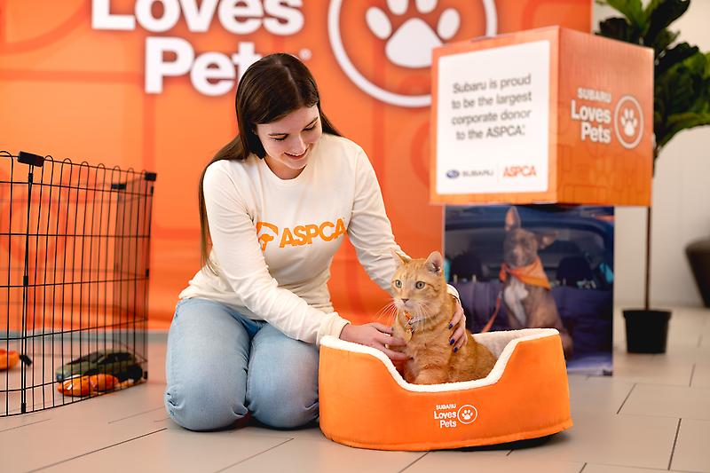 Subaru%20Loves%20Pets%20Cat%20Med.jpg
