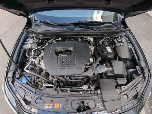 View 23
