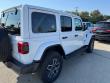 2025 Jeep Wrangler 4-DOOR SAHARA Sport Utility