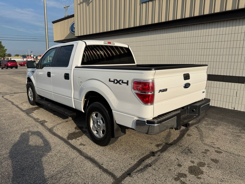 2010 Ford F-150 photo 3