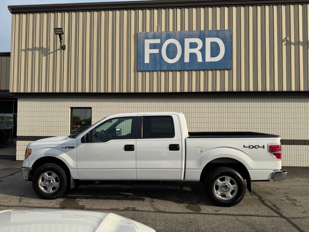 2010 Ford F-150 photo 2