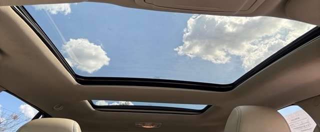 View 15