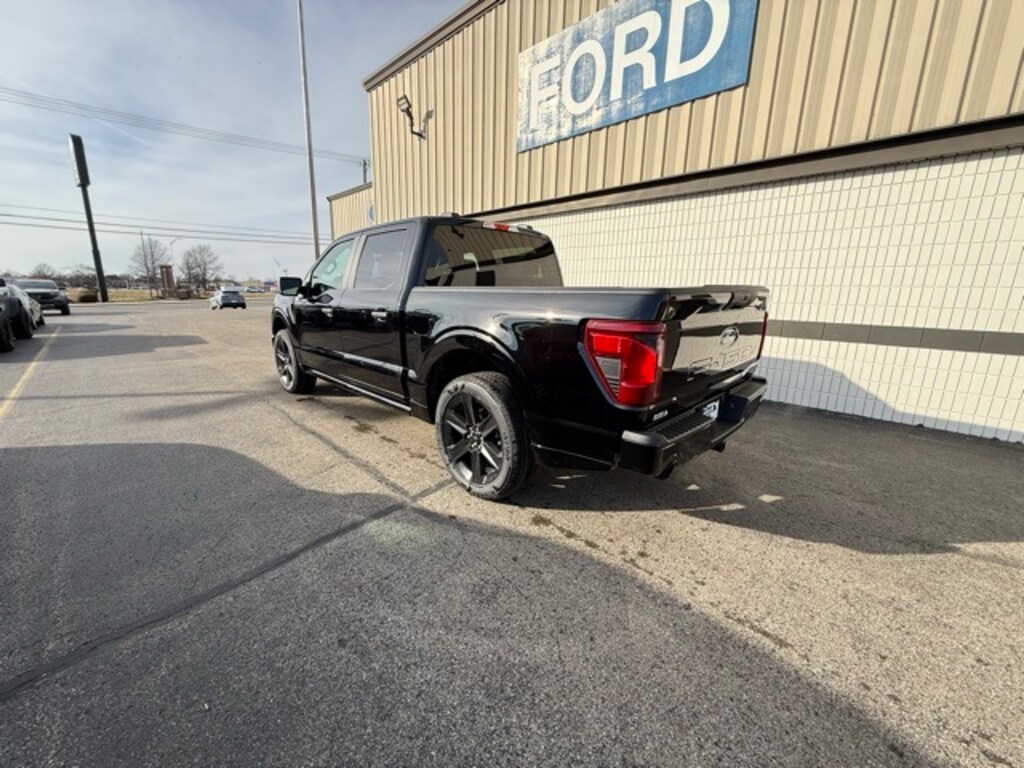 New 2025 Ford F-150 STX Truck