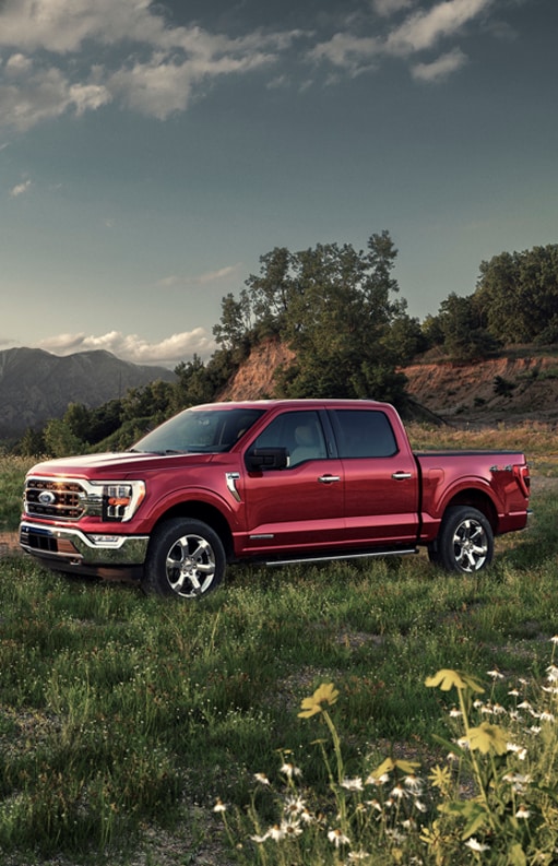 New Ford & Used Cars Ford Dealer Serving Shelby Township