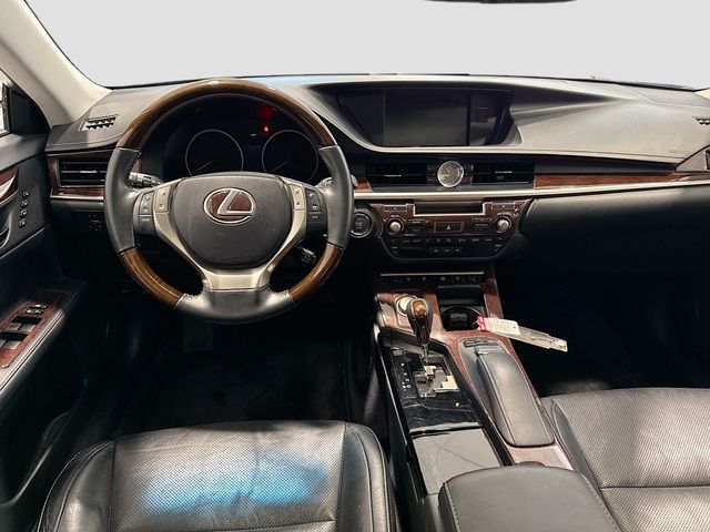 View 49