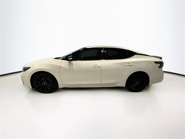 2019 Nissan Maxima SR photo 4