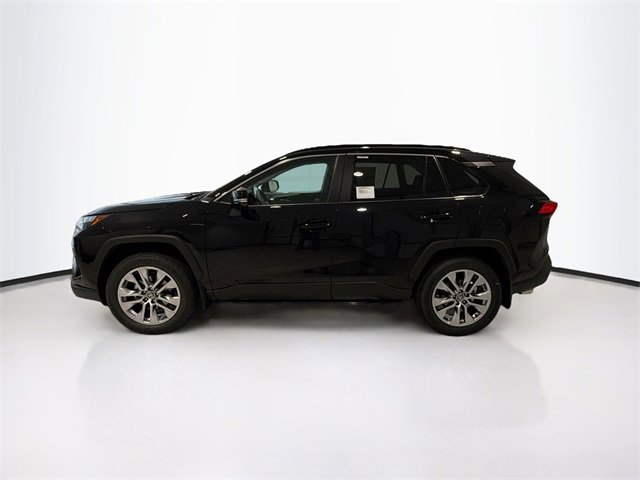 2025 Toyota RAV4 XLE Premium photo 3