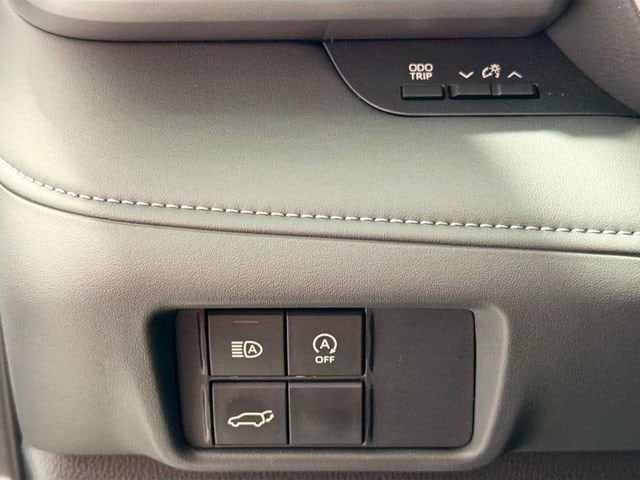 2025 Toyota Highlander 10