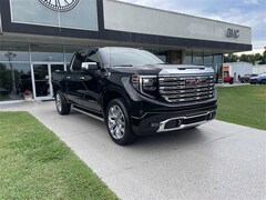 2025 GMC Sierra 1500 Denali Truck