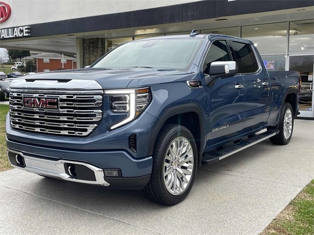 2025 Gmc Sierra 1500 Denali photo 3