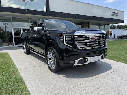 2025 GMC Sierra 1500 Denali Truck