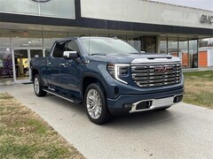 2025 GMC Sierra 1500 Denali Truck