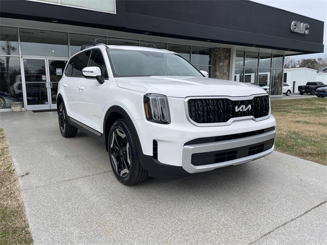 2025 Kia Telluride EX's photo
