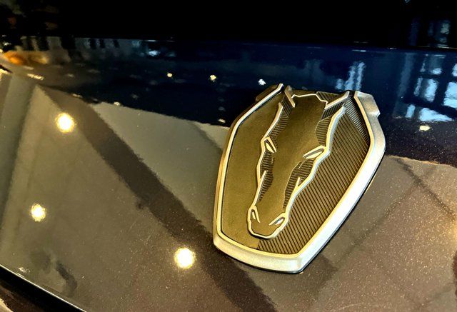 2025 Ford Mustang Dark Horse - Photo 10