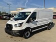 Ford Transit Cargo Van