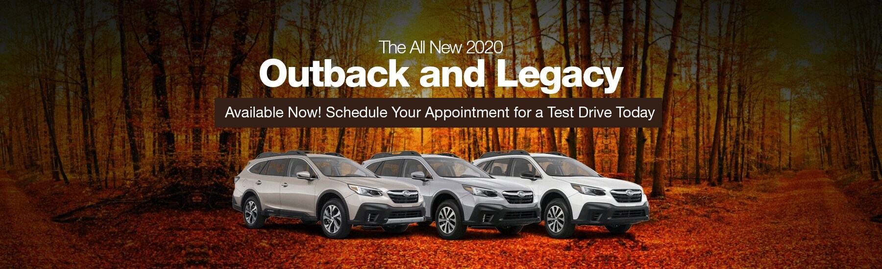 Rye Subaru New & PreOwned Subaru Dealership Near White Plains NY