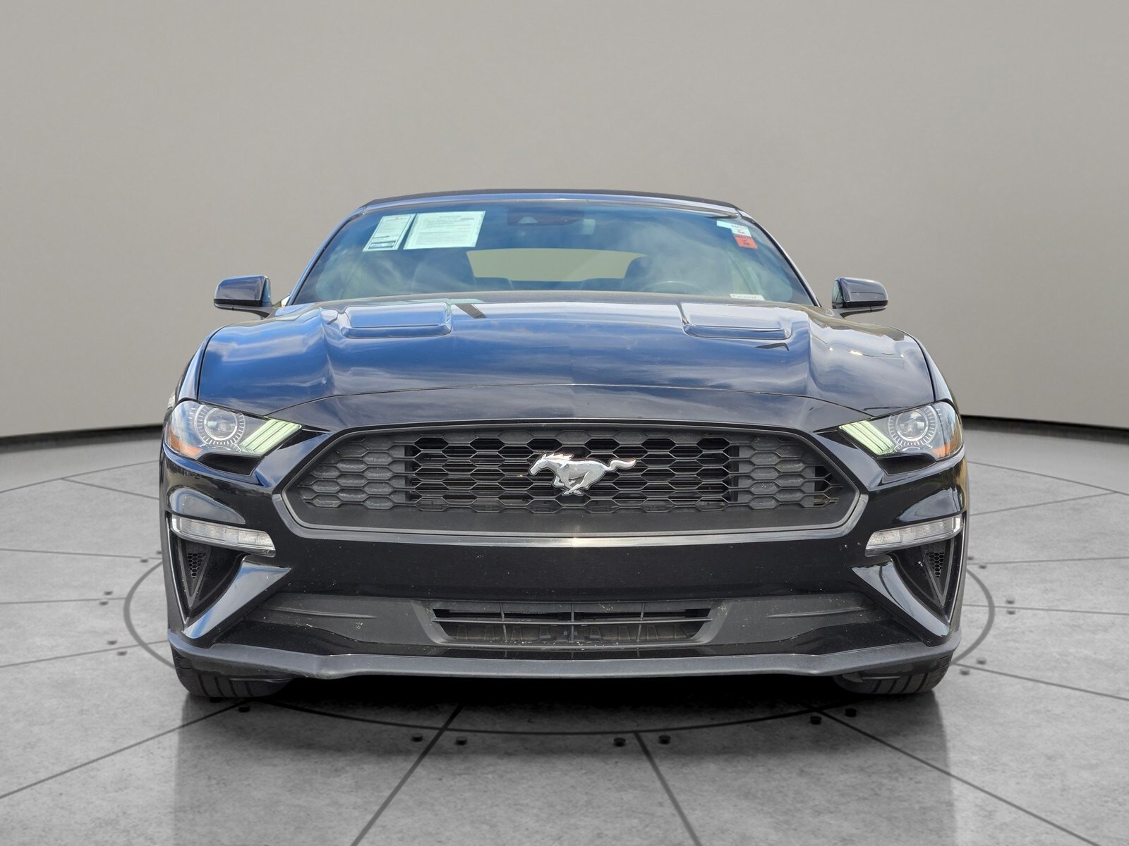 2023 Ford Mustang EcoBoost Premium Convertible photo 2