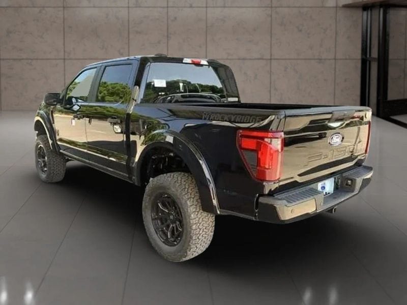 2025 Ford F-150 STX - Photo 29