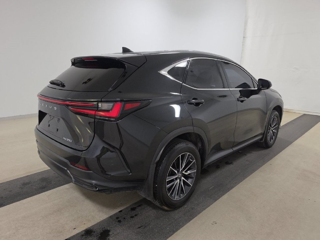 Certified 2023 Lexus NX 250 Base SUV