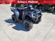 Kawasaki KVF300CRFNN