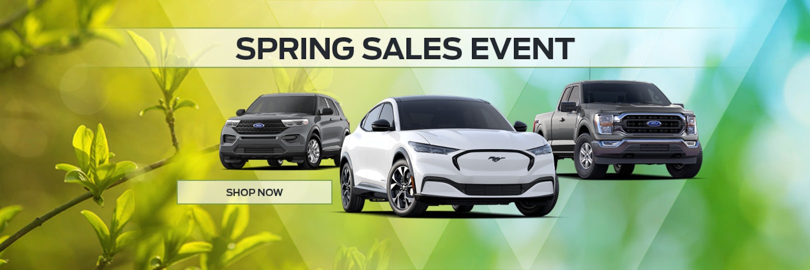 Salem Ford New & Used Ford Dealership Salem, NH