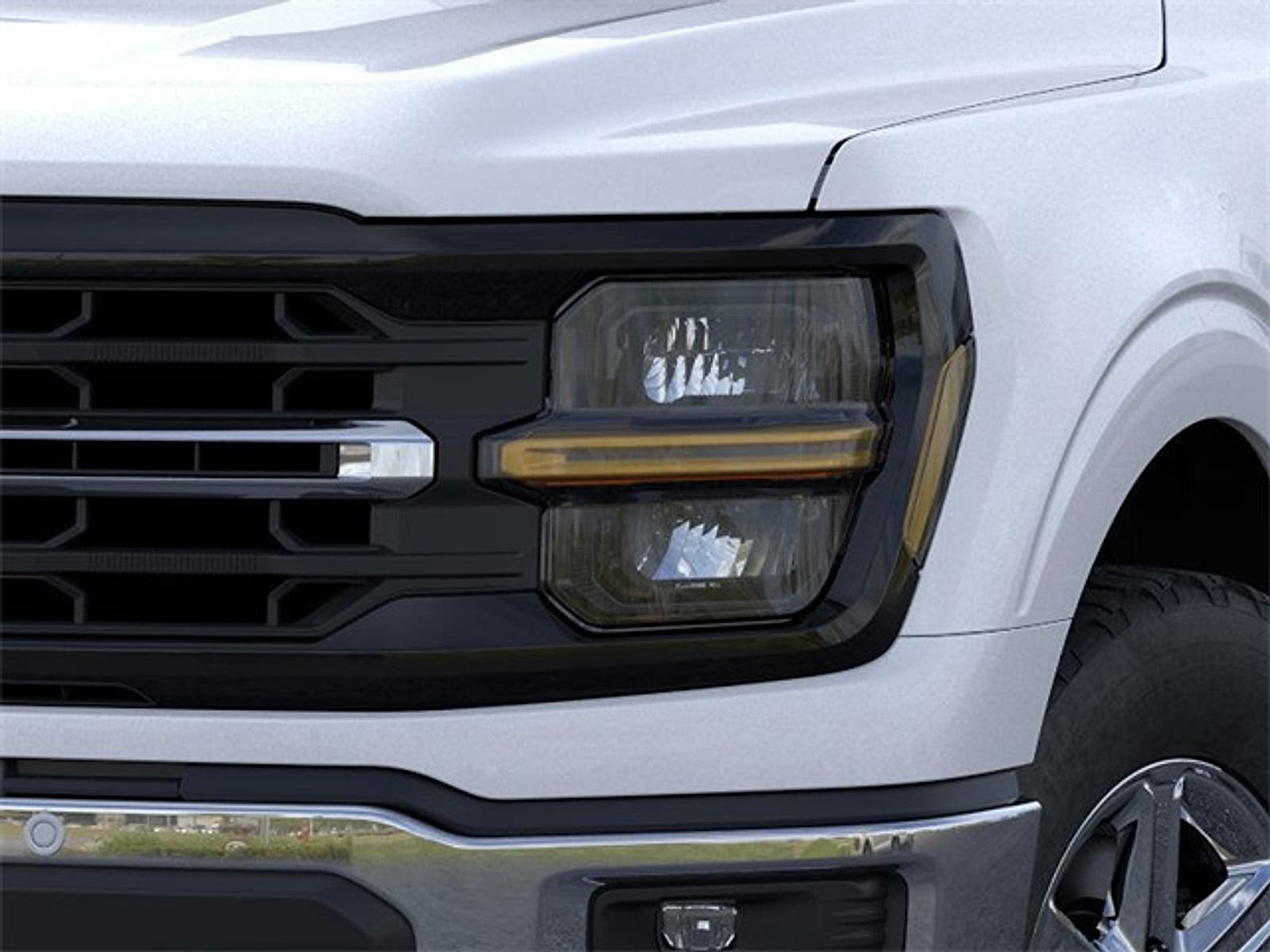 2025 Ford F-150 XLT - Photo 19