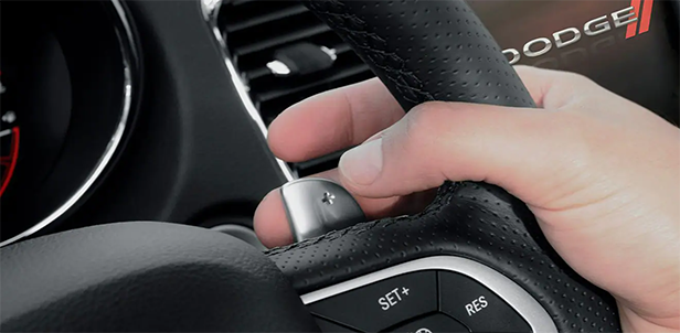 Charger Paddle Shifters.png
