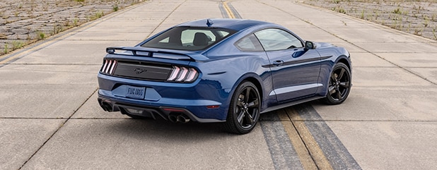 Mustang Stealth Edition Appearance Package NJ