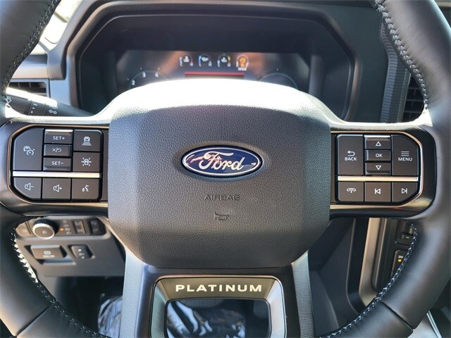 2025 Ford F-150 Platinum photo 3