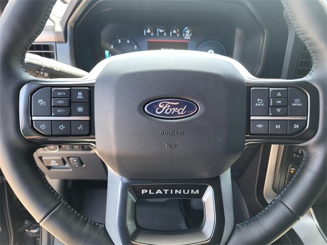 2025 Ford F-150 Platinum photo 2