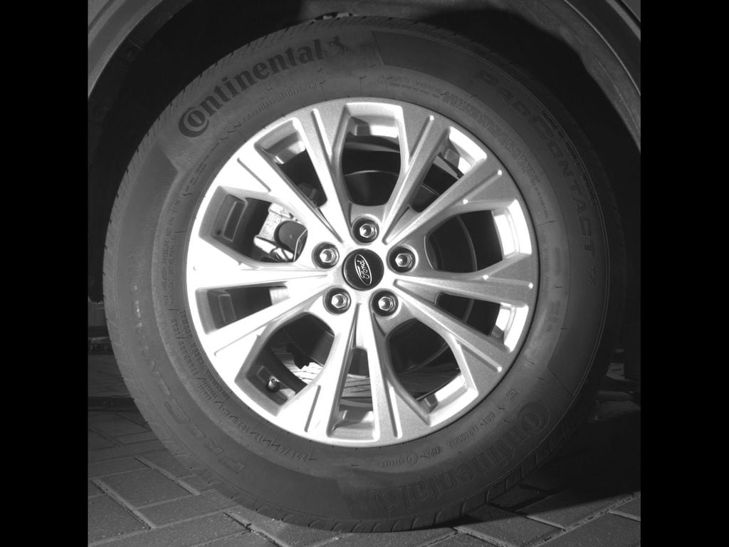 Photo 11