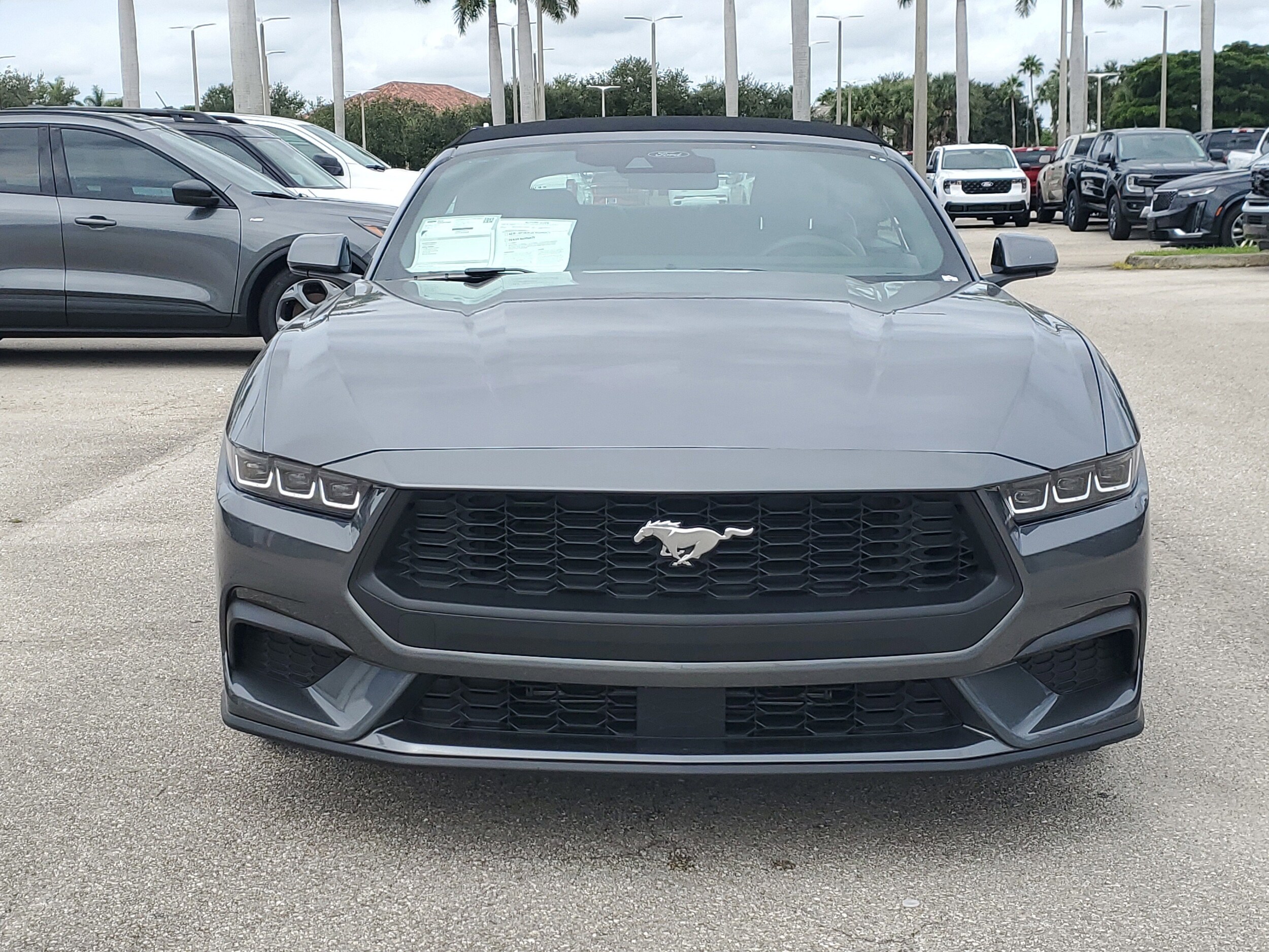 2025 Ford Mustang EcoBoost Premium Convertible photo 2