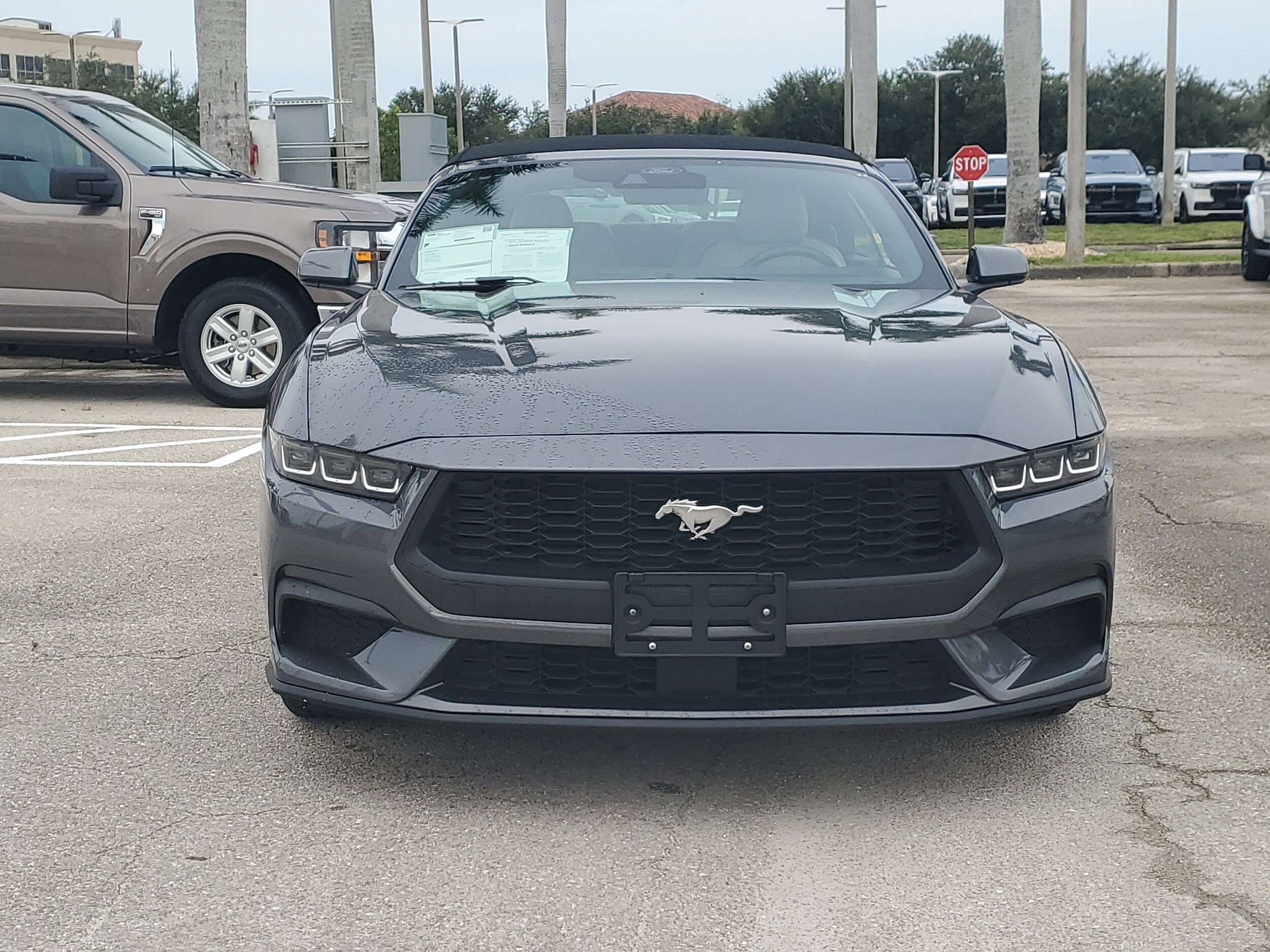 2024 Ford Mustang EcoBoost Premium Convertible photo 2