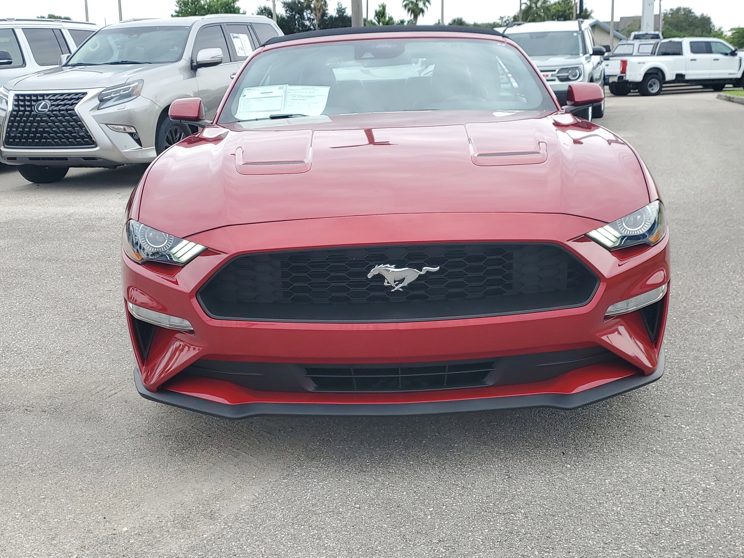 2023 Ford Mustang EcoBoost Premium Convertible photo 2