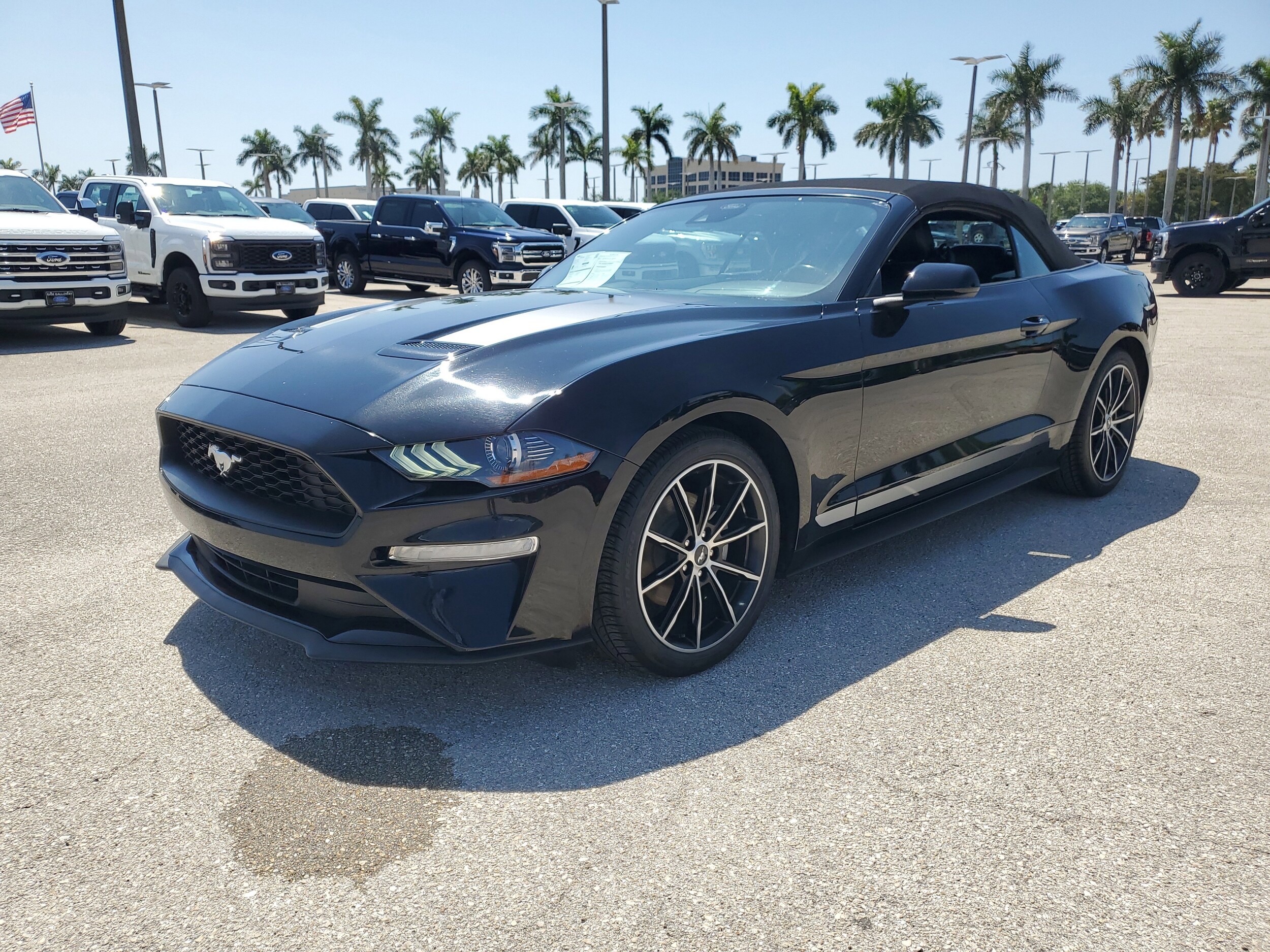2023 Ford Mustang EcoBoost Premium Convertible photo 3