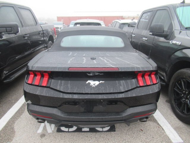 2024 Ford Mustang EcoBoost Convertible photo 3