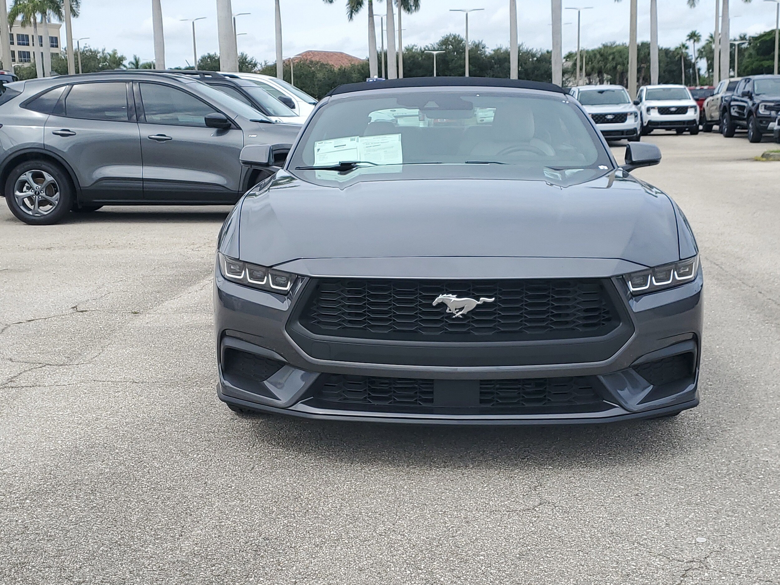 2024 Ford Mustang EcoBoost Premium Convertible photo 2