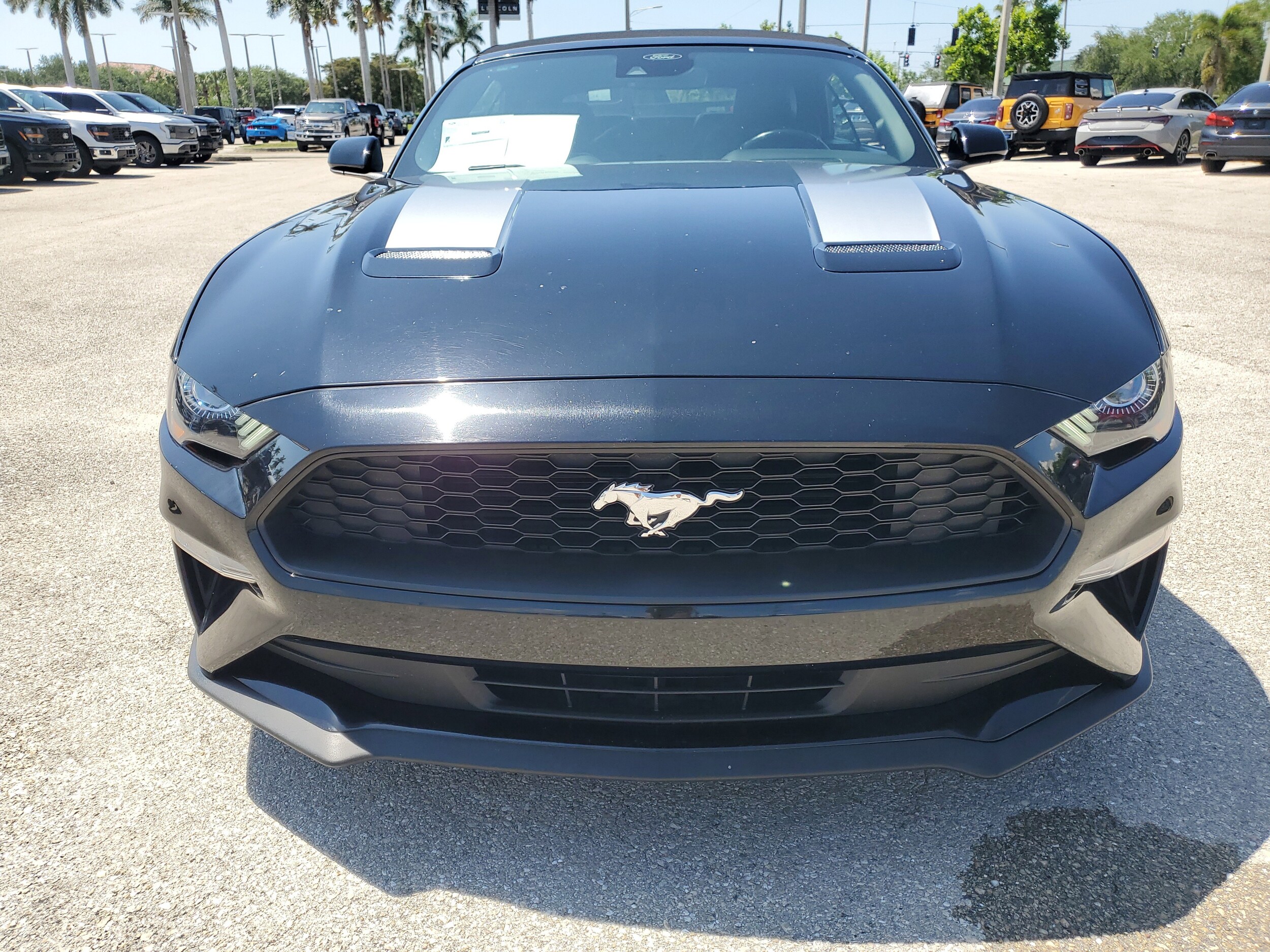 2023 Ford Mustang EcoBoost Premium Convertible photo 2