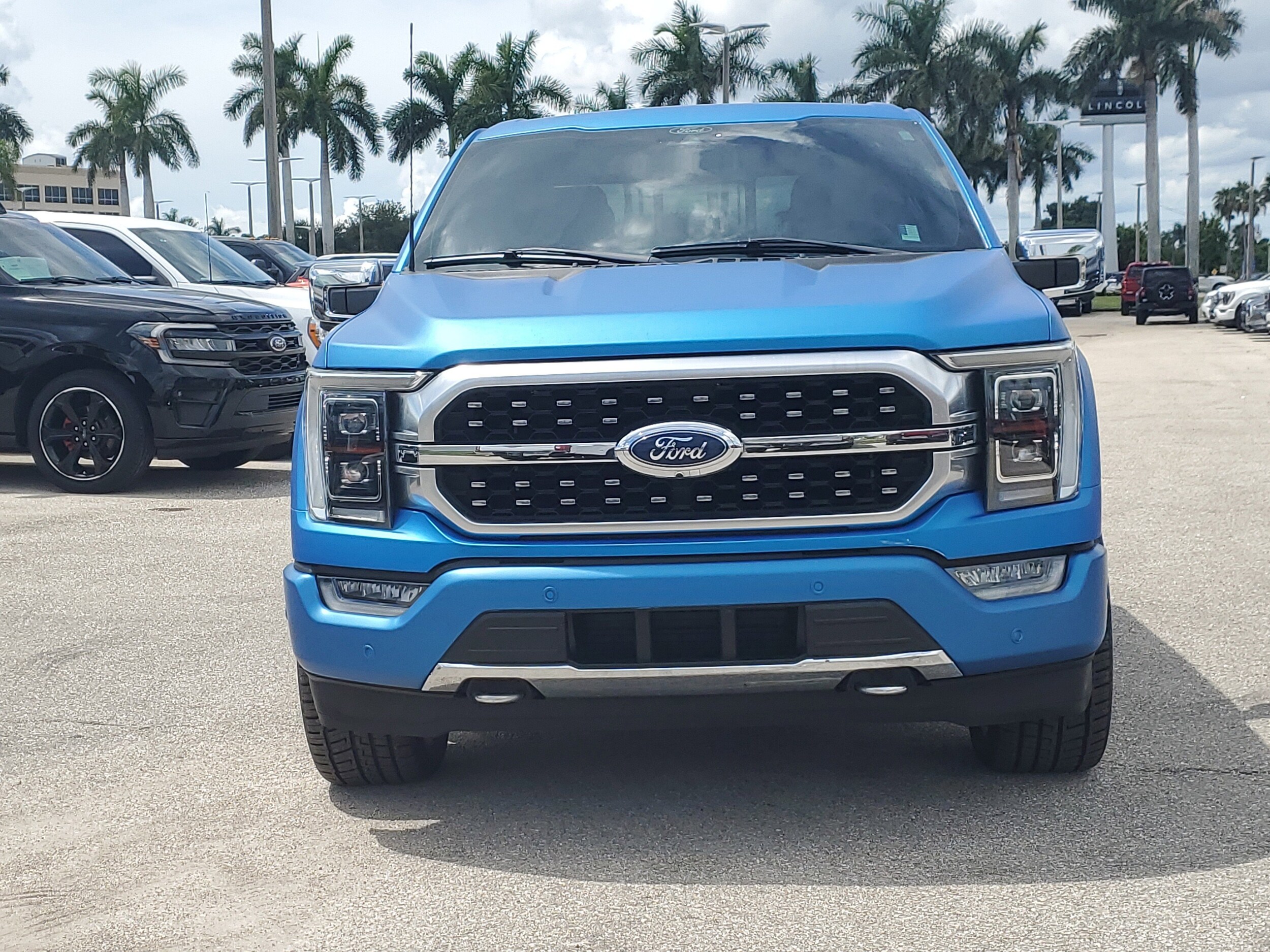 2021 Ford F-150 Platinum photo 2