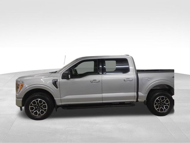 2023 Ford F-150 XLT photo 2