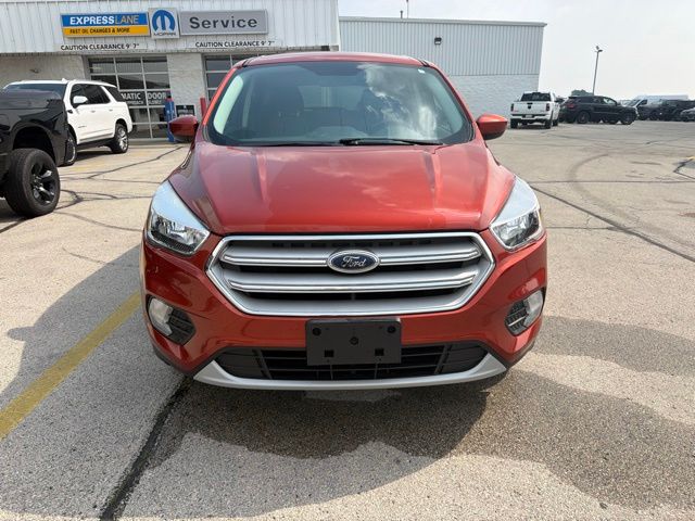 Used 2019 Ford Escape SE with VIN 1FMCU0GD8KUA75725 for sale in Pulaski, WI